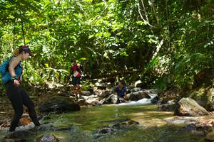 BIB: 
                            <button type="button" onclick="openModal(21843832)" class="btn btn-primary btn-sm float-right btn-popup" data-toggle="modal" data-target=".modal-high-quality">
                        <i class="fas fa-shopping-cart"></i> Add to Cart
                    </button>
                                            <button type="button" onclick="isThisMe(21843832, true)" class="btn btn-success btn-sm float-right btn-popup btn-isme hidden" data-toggle="tooltip" data-placement="bottom" title="นี่คือรูปของคุณใช่ไหม คลิกที่นี่เพื่อเอาเข้าอัลบั้ม">
                        <i class="fas fa-plus"></i> Add to album
                    </button>
                    <button type="button" onclick="isThisMe(21843832, false)" class="btn btn-warning btn-sm float-right btn-popup btn-isnotme hidden">
                        <i class="fas fa-ban"></i> Remove from album
                    </button>